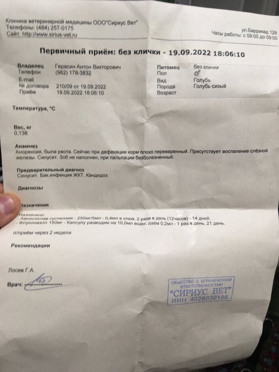 337EA72A-9979-4F90-A64D-30FEB8A335E2.jpeg