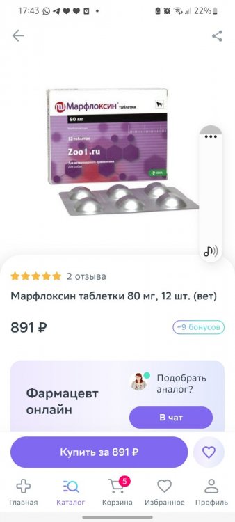 Screenshot_20221002-174303.jpg