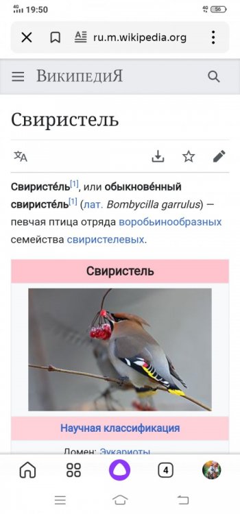 Screenshot_20221028_195043.jpg