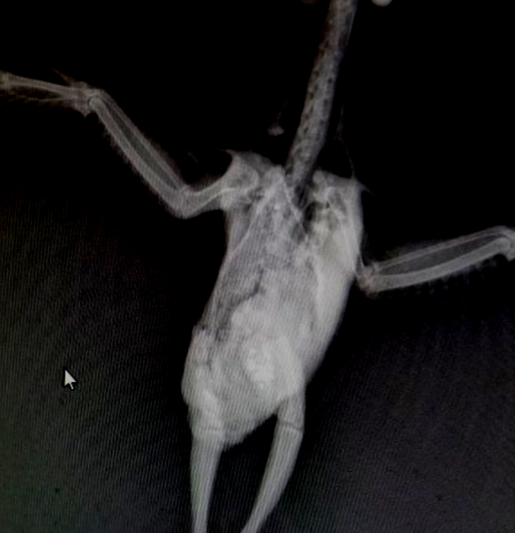Screenshot_21.png