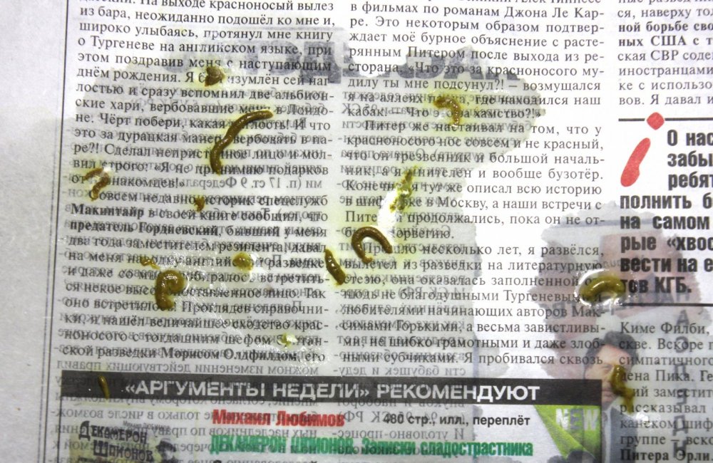 отличный помет.jpg