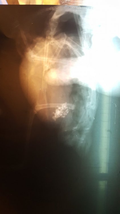20221212_020655.jpg