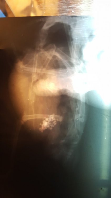 20221212_020737.jpg