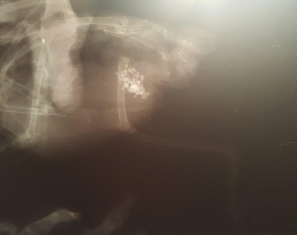 20221212_023022.jpg