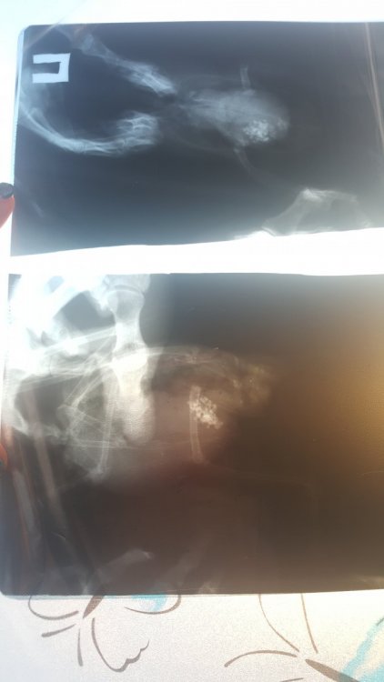 20221212_103332.jpg