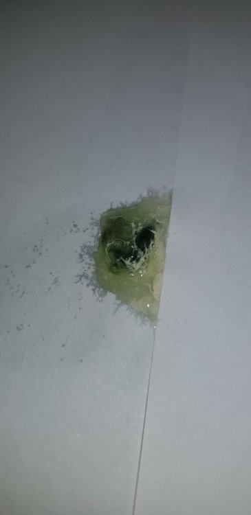 20221224_220229.thumb.jpg.310cffd98e2cbb63b7001e201907b1f1.jpg