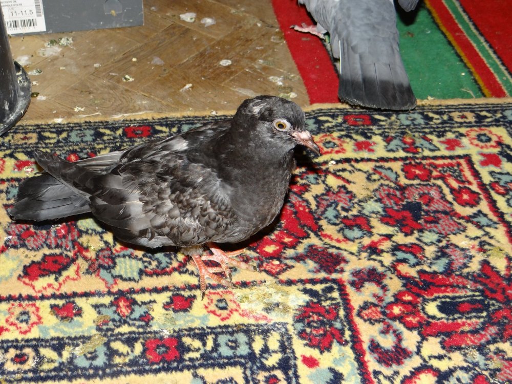 DSC05166.JPG