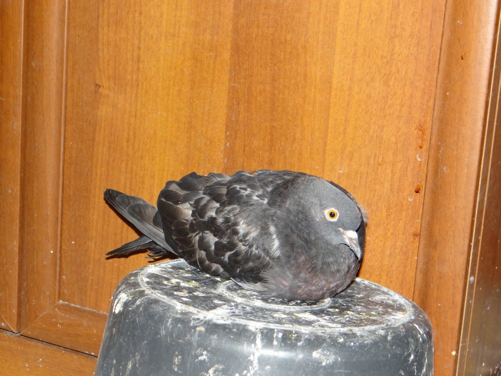 DSC05172.JPG