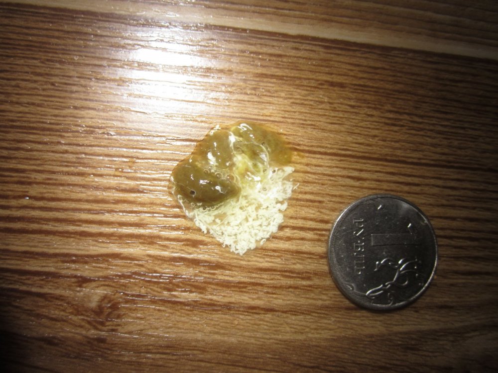 IMG_1226.thumb.JPG.c15b2c979f801bfe951934746ab5a4ea.JPG