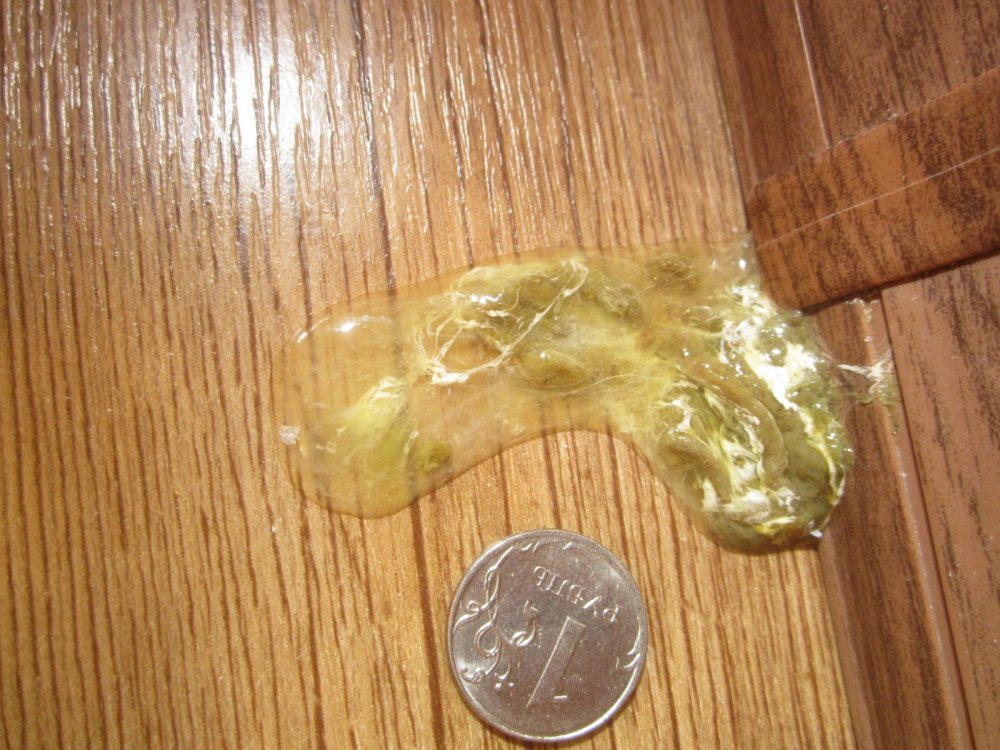 IMG_1230.thumb.JPG.626de78462d57fdf2c7e94ed9b89087e.JPG