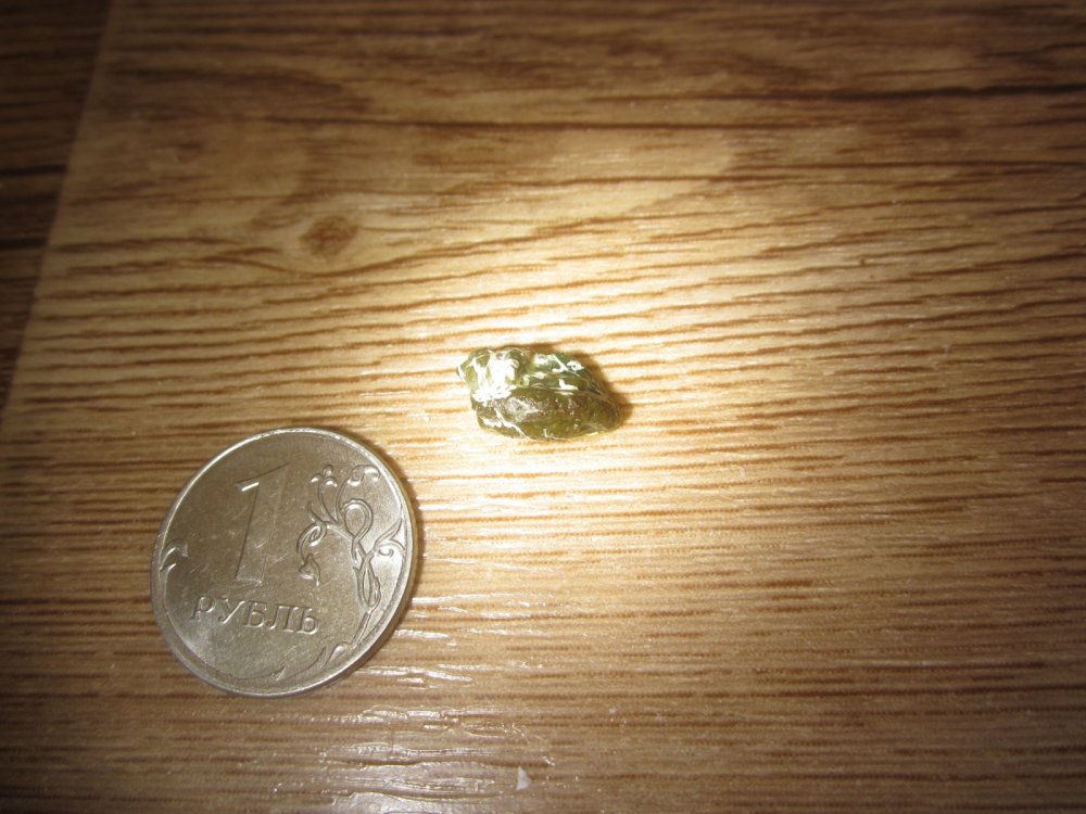 IMG_1277.thumb.JPG.f494a79de2f9dfca10bd094e0ed83466.JPG
