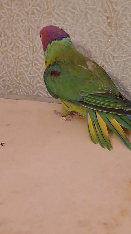 VideoCapture_20230104-161214.jpg