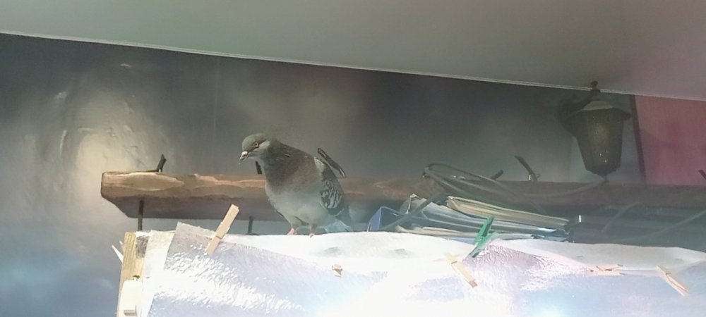 VideoCapture_20230124-230136.jpg