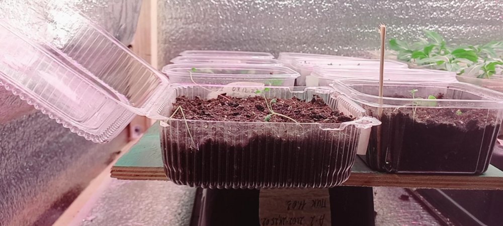 VideoCapture_20230124-230206.jpg