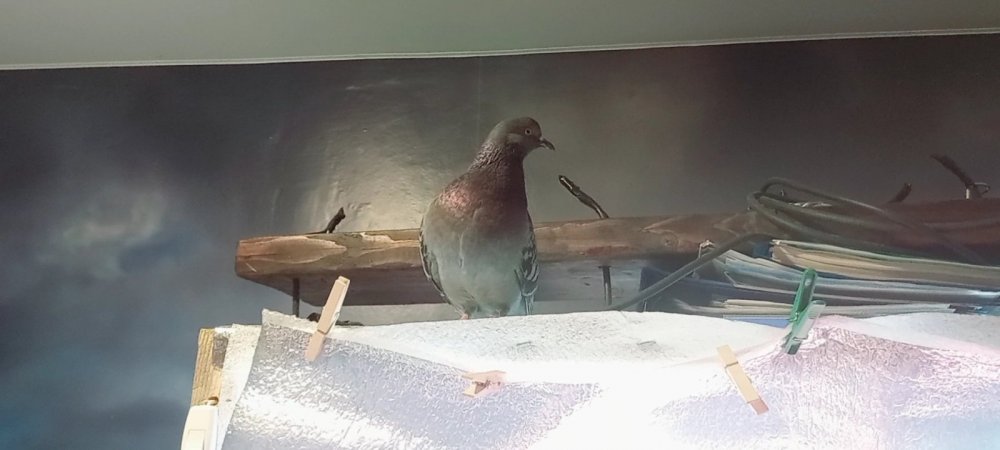 VideoCapture_20230124-230247.jpg
