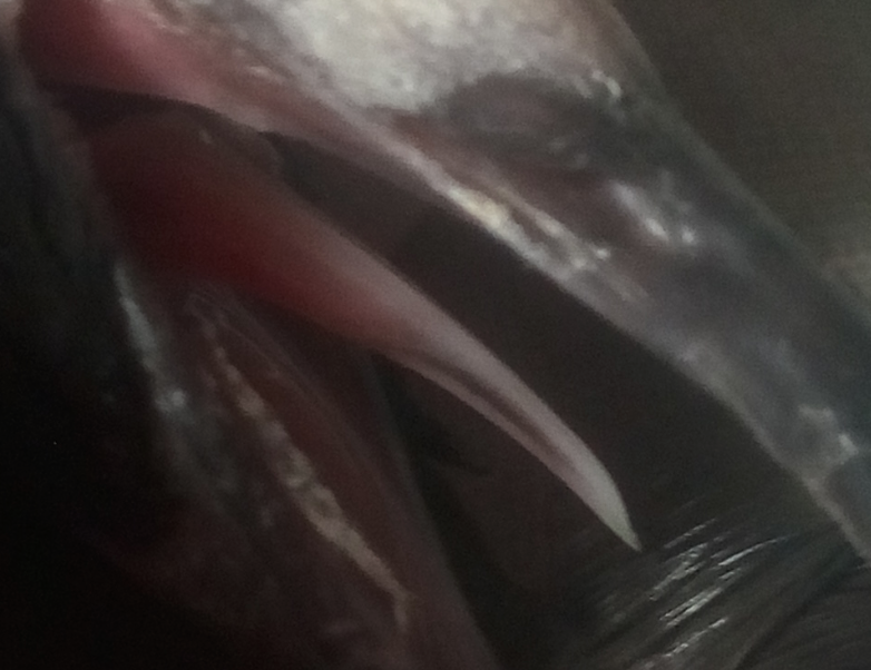image.png.c94ee587597d7c336d3ac41102b64e35.png