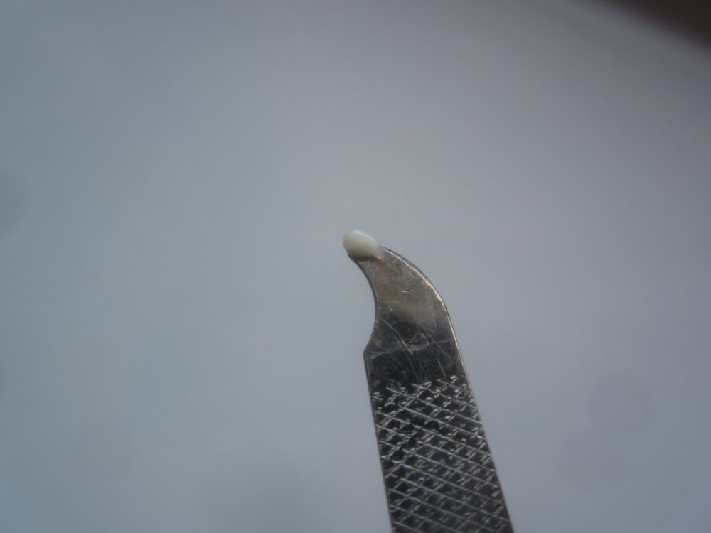2.thumb.JPG.4d21f21ad75c4ca170a1f147efc5126a.JPG