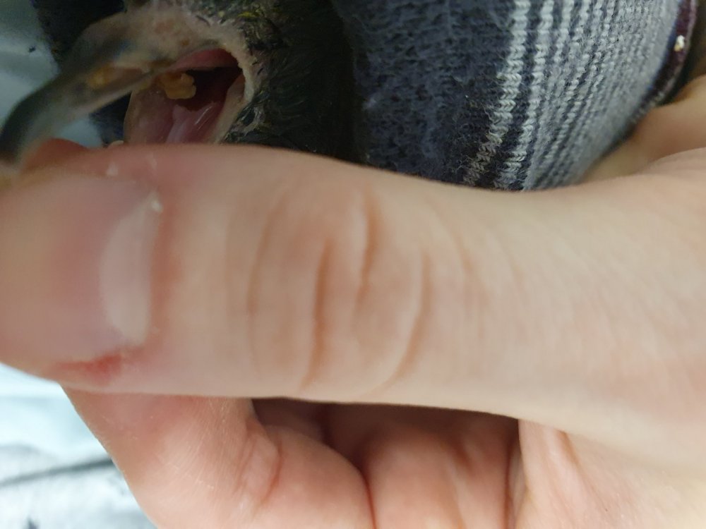 20230222_110441.jpg