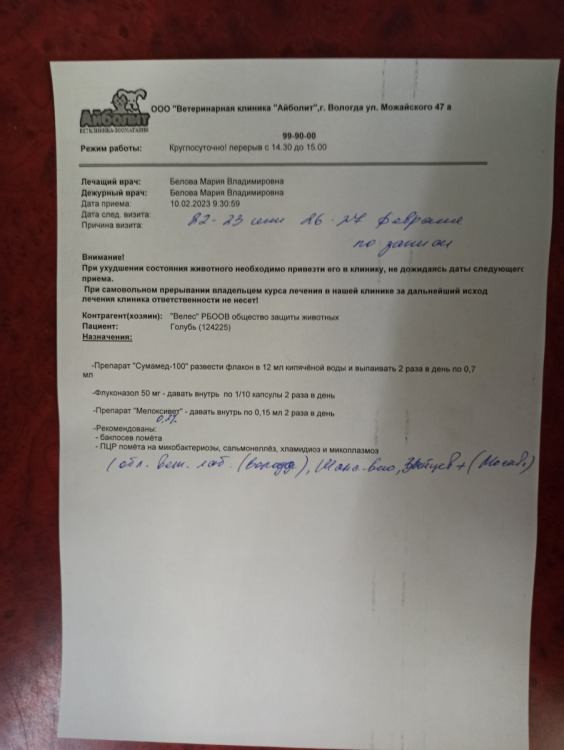 image.thumb.png.75988fcd4e491f097c34192f555d25fd.png