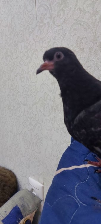 20230326_193823.jpg