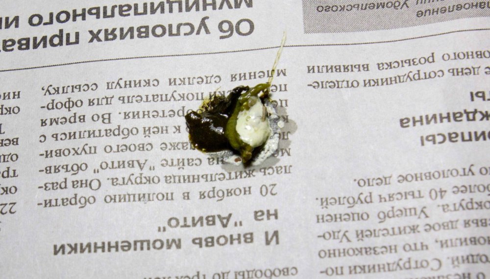 28.03.23.jpg