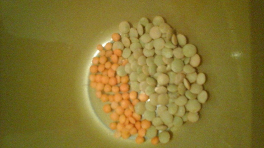 20230413_174900.jpg