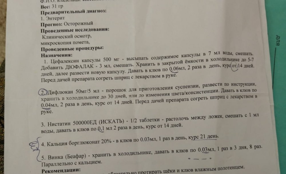 IMG-20230418-WA0008.jpg