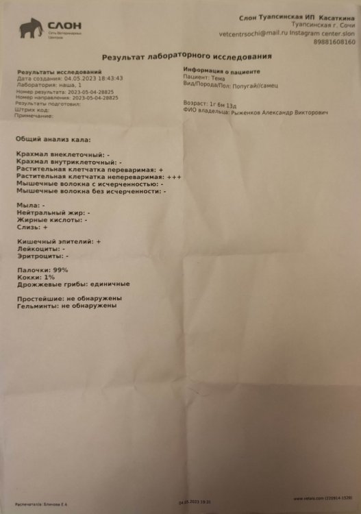 Общий анализ кала