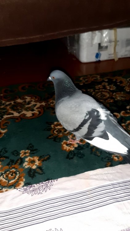 20230521_171640.jpg
