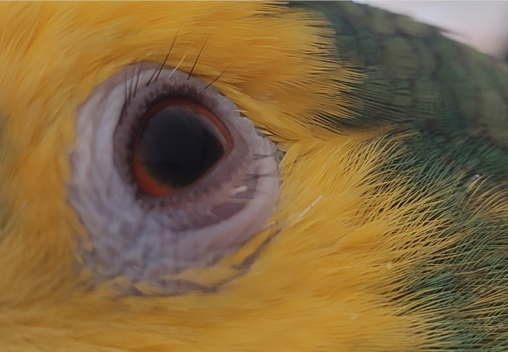 Screenshot_20230516_122852.thumb.png.5af1ed78348c5eff3482c8a9cefc233b.png