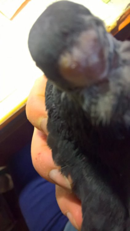 WP_20230516_20_08_01_Pro.jpg