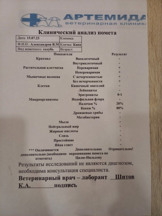 20230730_211730.thumb.jpg.e34e1177855bcde43f0c93aff7b099ec.jpg