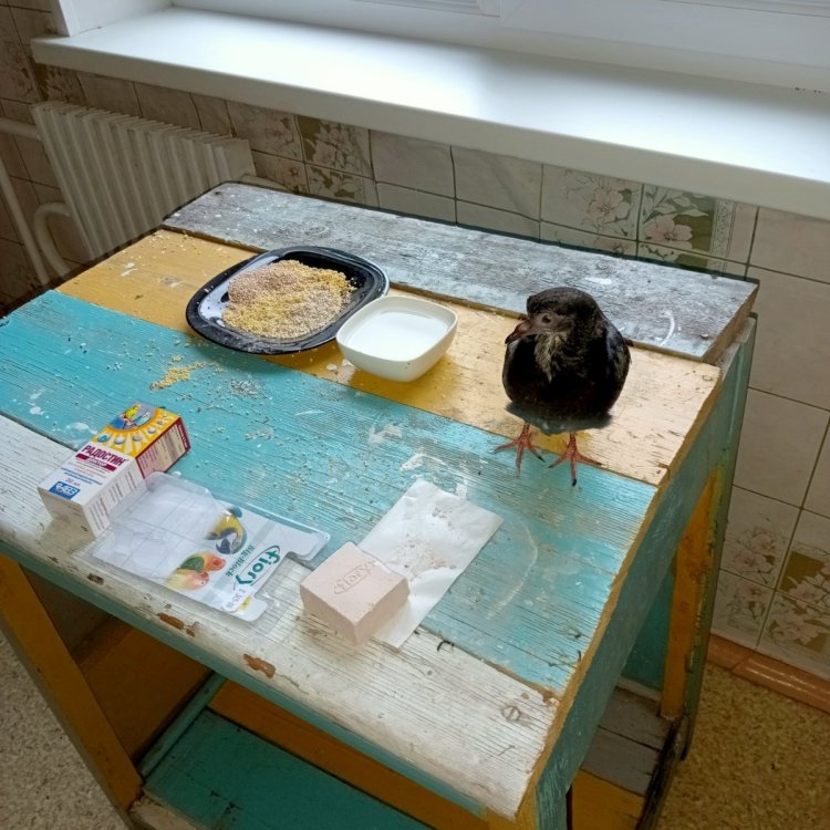 IMG20230723062957.jpg