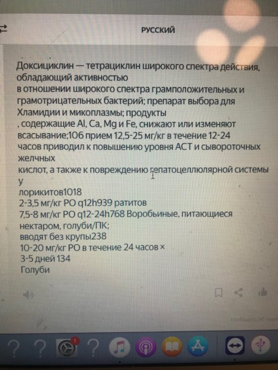 FEA9A4D7-C07B-4C28-893C-95AF1B3B6954.jpeg