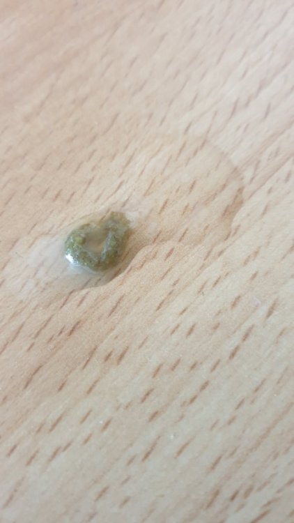 20230901_111005.jpg