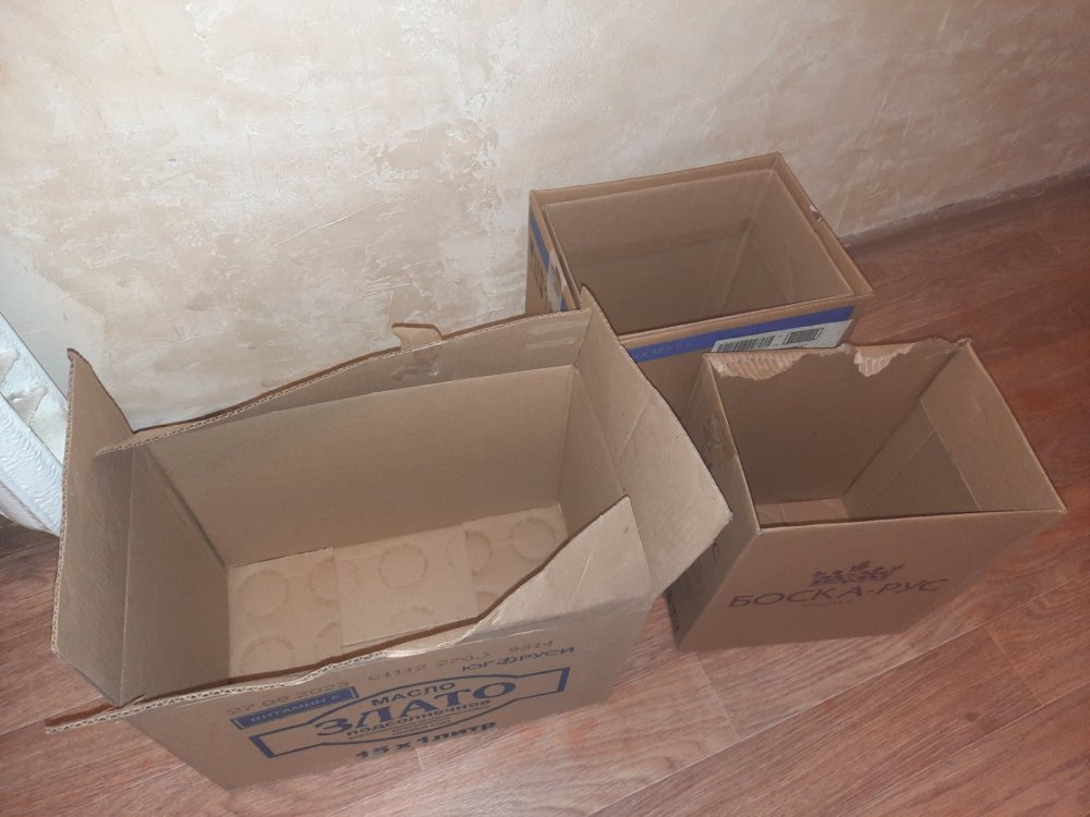20230912_004209.jpg