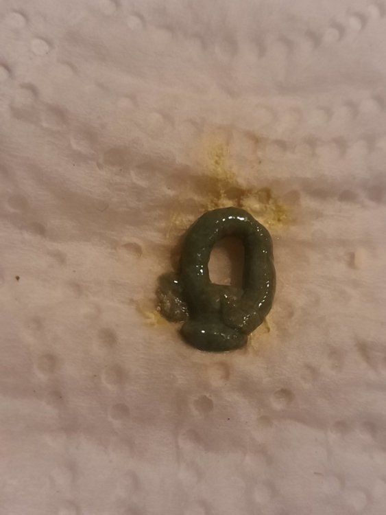 20230918_173554.jpg