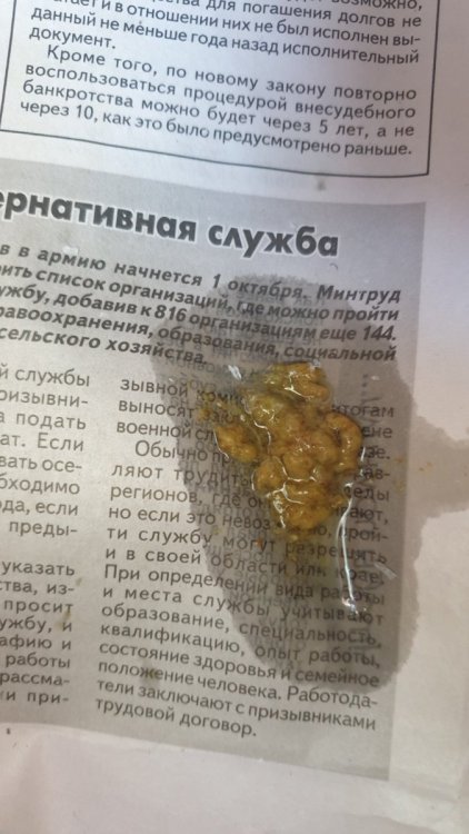 20230922_130010.jpg
