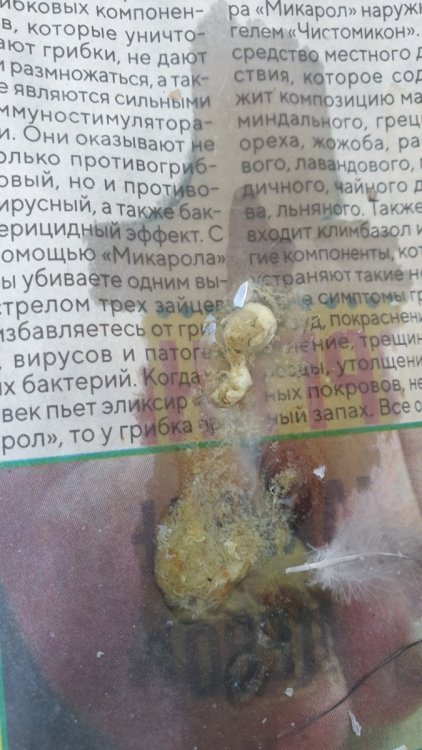 20230922_130025.jpg