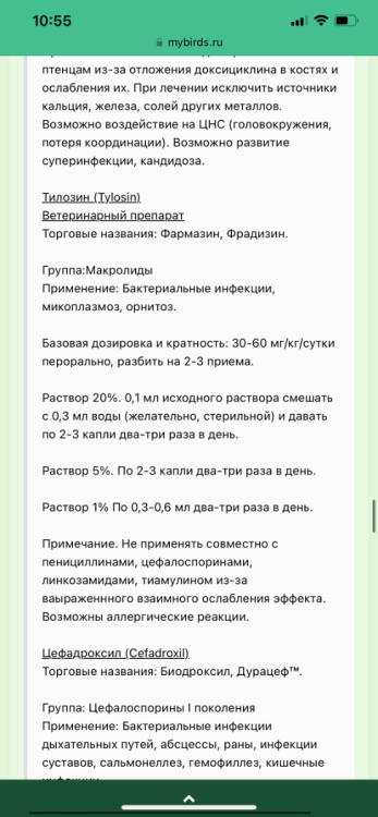C8CBA2E7-4984-44F6-B2E2-FB2CAFB49350.png