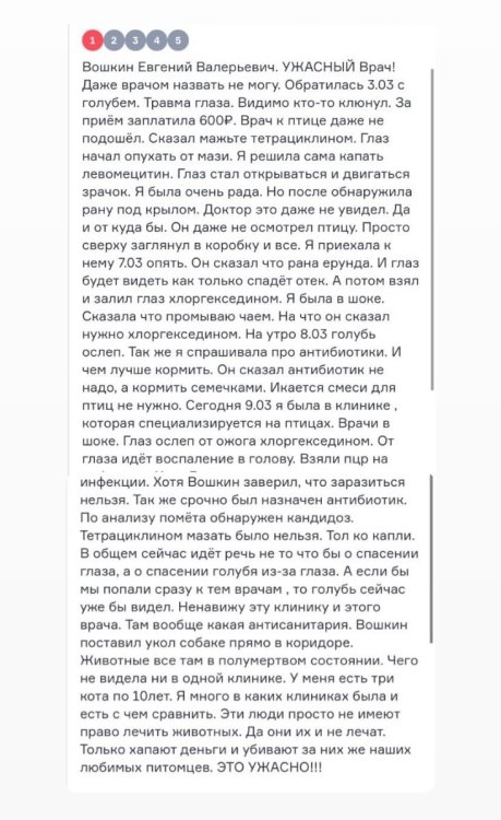 IMG_7852.jpeg