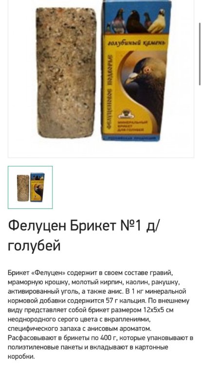 IMG_7865.jpeg