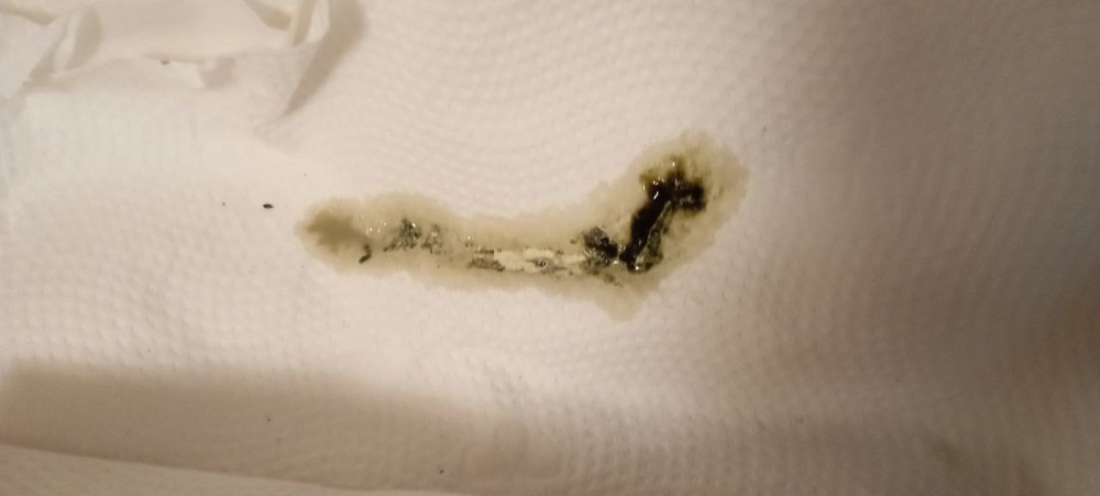 image.thumb.png.6e9acaebcf33d4b217e1809c636744b9.png