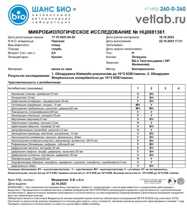 1D93D7AA-AF5C-40D8-9E8B-DC81D6973CE0.thumb.jpeg.1bbb594f1e52b37827fa8ca997b4fff9.jpeg