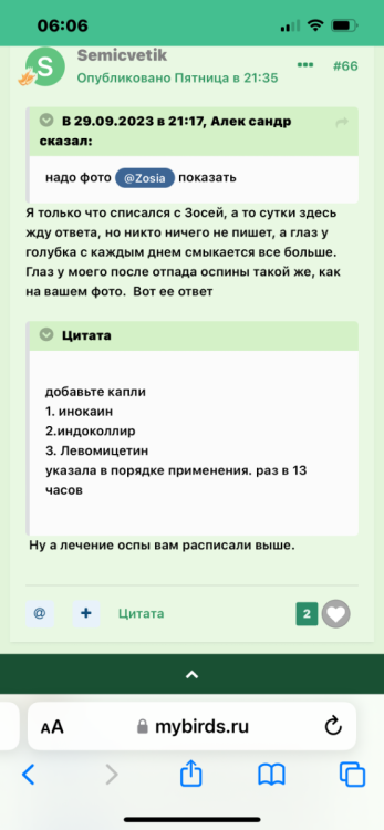 IMG_1731.png