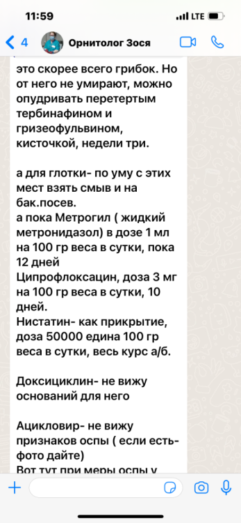 IMG_1736.png