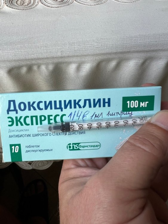IMG_1756.jpeg