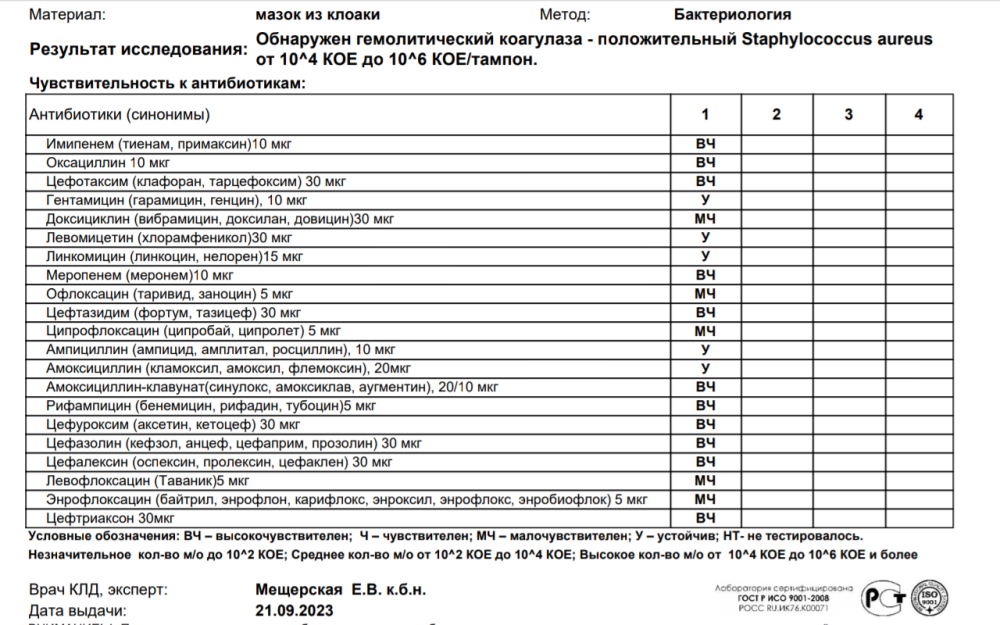 Screenshot_20231004-134218.thumb.png.9f94d54528547d0d16d1080833a2ee72.png