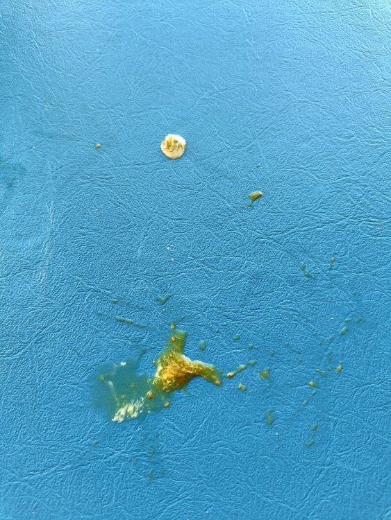 pic2.jpg
