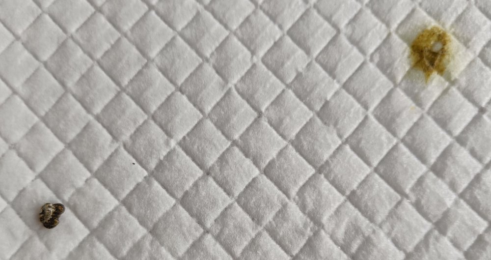 pic3.jpg